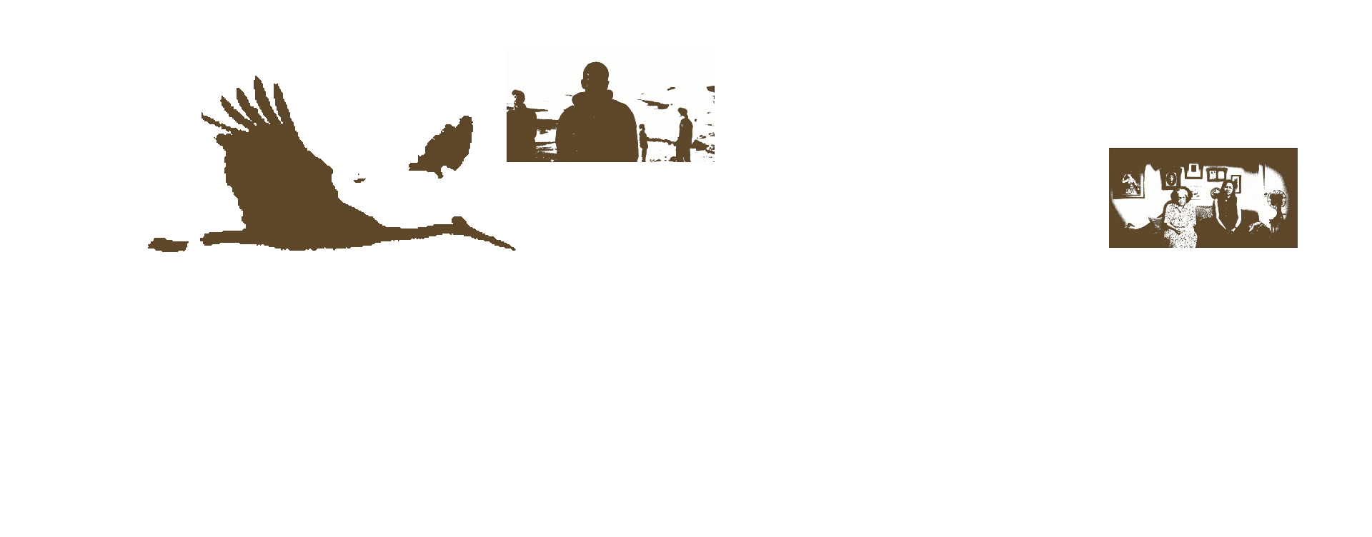 competition