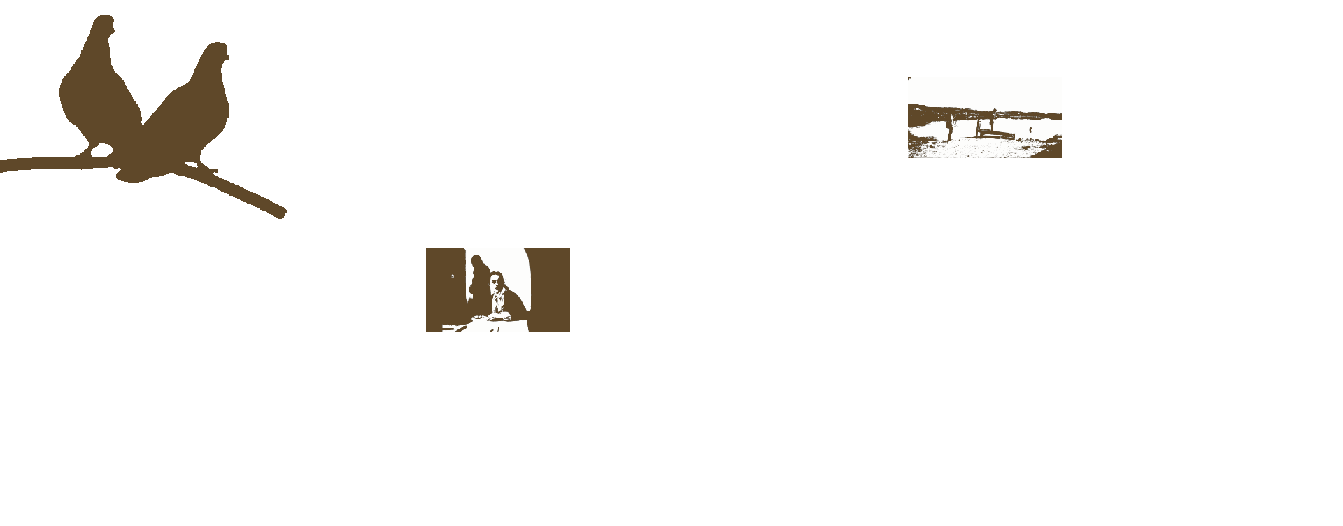 competition